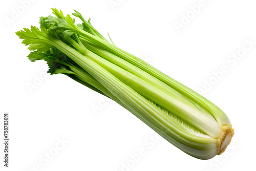 Celery Isolated On Transparent Background