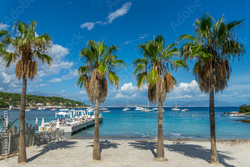 Palm trees on Garoupe beach in Antibes on the French Riviera in the South of France