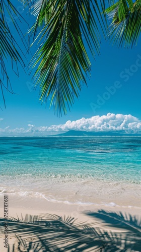 A palm tree stands tall in the foreground of a sandy beach, with the ocean extending into the distance. The scene embodies a typical tropical beach setting with clear blue skies and gentle waves.
