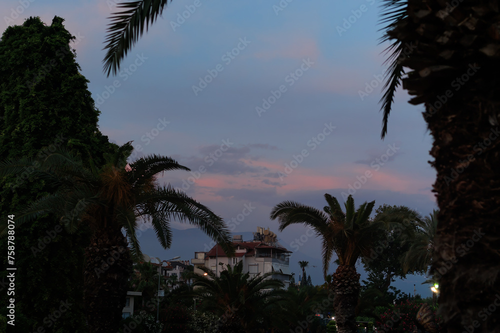 Obraz premium Evening view of the city. Sunset sky and beautiful landscape.