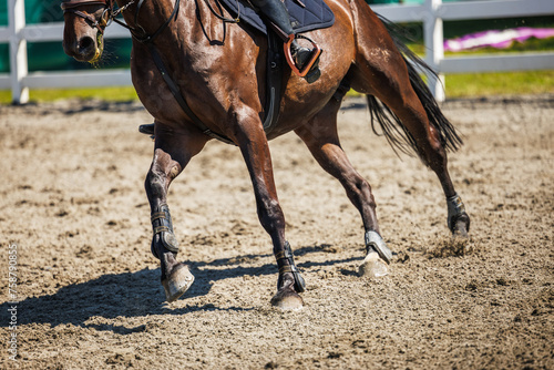 Legs of running horse during sport equestrian event. Selective focus on animal hoof. Horseback riding