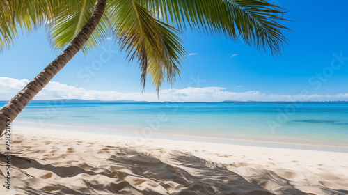  Tropical beach. Summer vacation on a tropical island with beautiful beach and palm trees. Tropical Maldives.