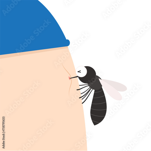 Mosquito cartoon. mosquito vector on white background. Mosquito on skin body.