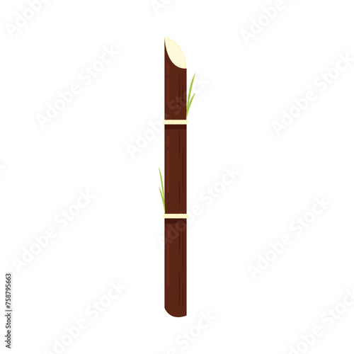 Sugar cane vector. Sugar cane on white background.