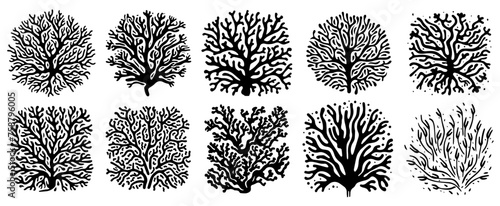 abstract patterns, irregular shapes, seaweed and coral reefs, black vector graph photo