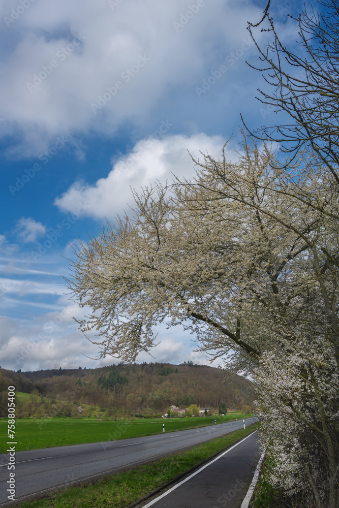Fototapeta premium Radweg an der Landstraße vor schöner Landschaft