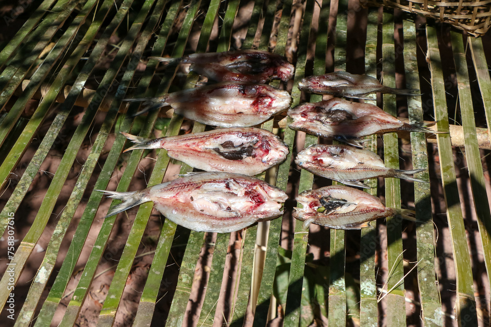 Sun-dried mineral river fish on a bamboo rack To preserve food, we make dried fish to eat. Preserving food of forest villagers Sun-dried mineral river fish on a bamboo rack To preserve food, we make dried fish to eat. Preserving food of forest villagers