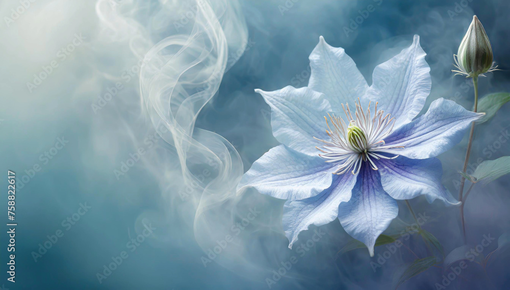 Fleur de clématite bleue. Fond floral abstrait. Papier peint fleuri - obrazy, fototapety, plakaty 