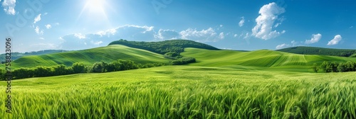 A serene green field stretches out beneath rolling hills in the distance  creating a tranquil and picturesque landscape