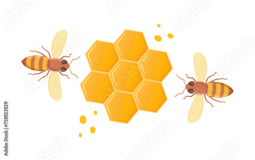 Bee honeycomb. Hexagon natural honey struct. Insects and honey. Honeycomb and bees composition. Vector illustration.
