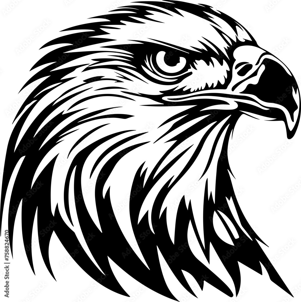 Eagle Head SVG, Eagle SVG, Eagles SVG, Eagle Mascot svg, Bald Eagle svg