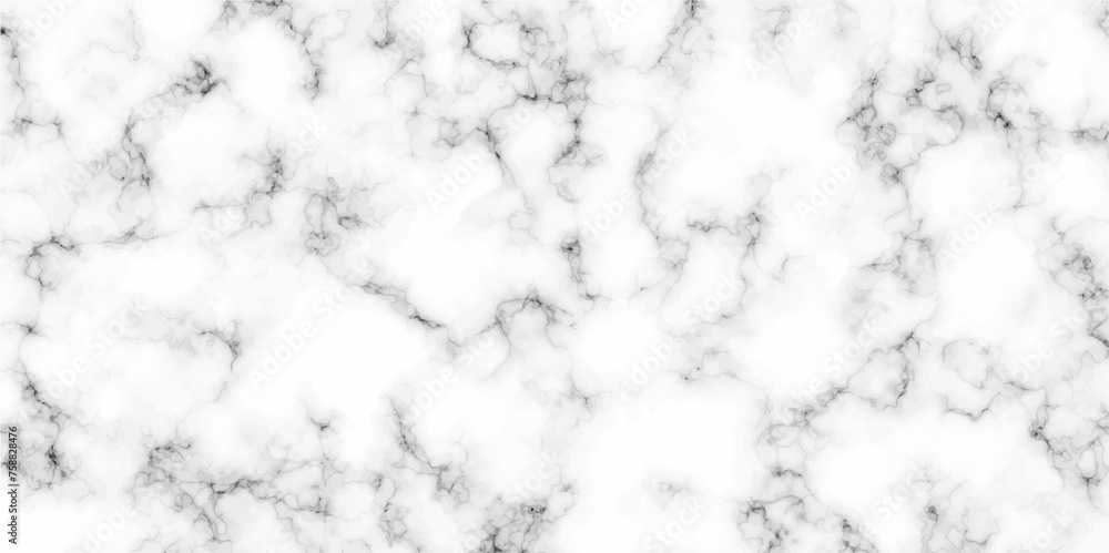 White and black Stone ceramic art wall interiors backdrop design. marble in natural patterned for background. Beautiful drawing with the divorces and wavy lines in gray tones White and black Stone ceramic art wall interiors backdrop design. marble in natural patterned for background. Beautiful drawing with the divorces and wavy lines in gray tones