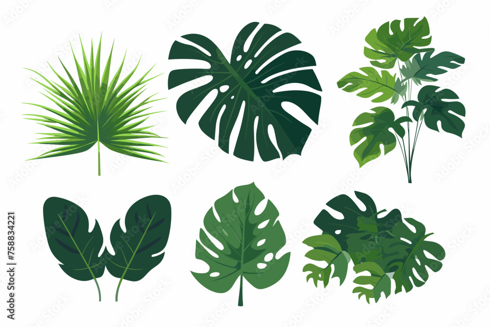 Tropical leaves collection. Vector isolated elements on the white background. Tropical leaves collection. Vector isolated elements on the white background.