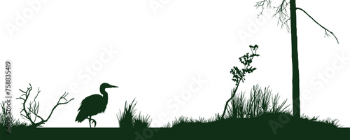 Isolated swamp silhouette. Marsh scene. Black drawing of heron and fen plants. Forest landscape with bird into old pond. Nature horizontal banner. Bog art template