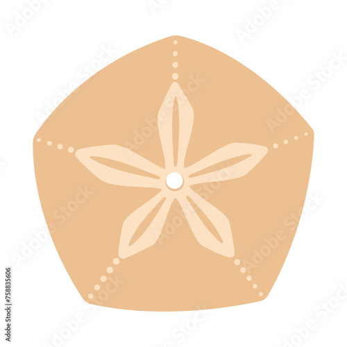 Sand dollar fossil for decoration on marine life and coastal style. Trendy flat illustration Sea cookies or snapper biscuits, pansy shells Isolated on white background. Vector illustration 