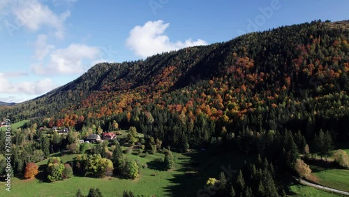 Drone flying towards an autumn colored forest in the Semriach region with small farm houses on the left  photo