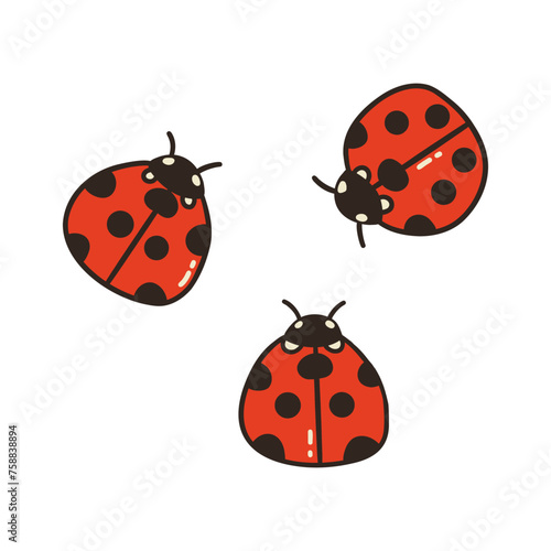Three ladybugs. Cute red insects with black polka dots. Spring and summer season. Colorful vector isolated illustration hand drawn doodle