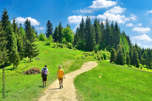 Fototapeta Naklejka Na Ścianę i Meble -  Two hikers on a path through the green meadow field among trees in summer sunny day, Gorce mountains, Poland