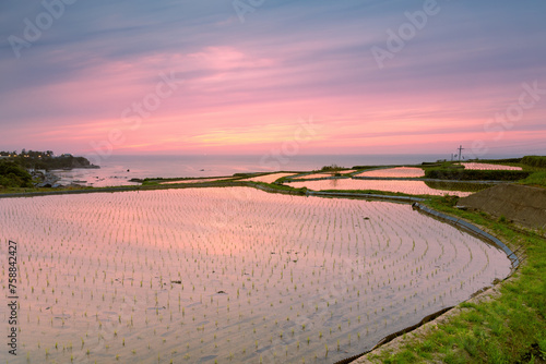 棚田の夕景