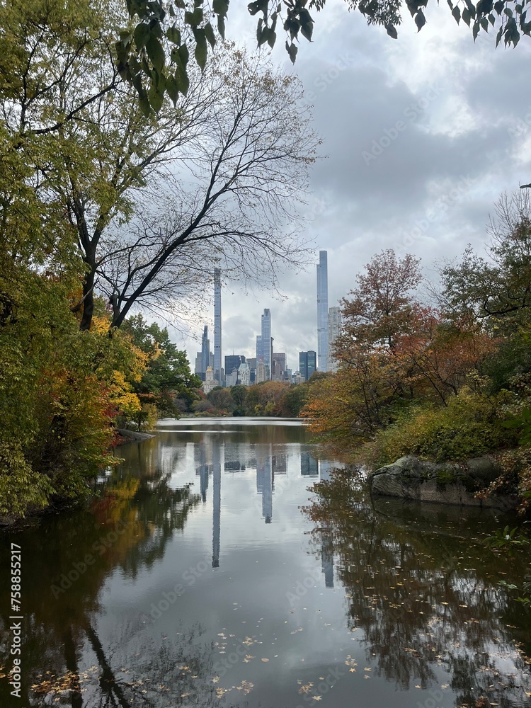 Fototapeta premium autumn in the park