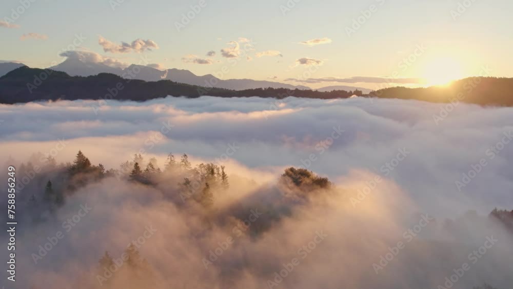 Aerial drone view of trees covered with low clouds during sunrise, Slovenia Aerial drone view of trees covered with low clouds during sunrise, Slovenia