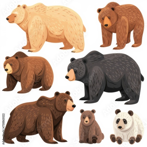 Clip art illustration with various types of  bear on a white background.