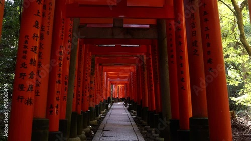 torii gate path in Fushimi Inari Shrine, vermillion Torii gates. Kyoto, Japan. Tourism and travel in Japan, shinto prayers are written on the gates photo