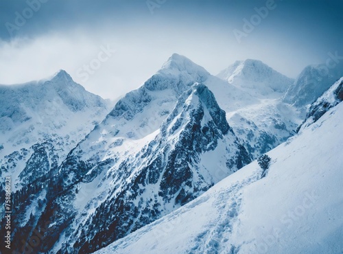 Montañas nevadas - Paisaje monte nevado nieve - naturaleza invierno alpinismo © D'Arcangelo Stock
