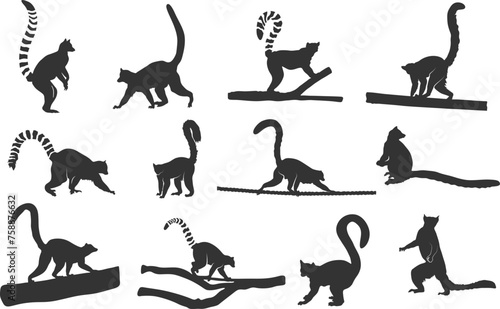 Lemur silhouette, Ring tailed lemur silhouette, Lemur silhouette Lemur svg, Ring tailed lemur svg, Lemur vector set photo