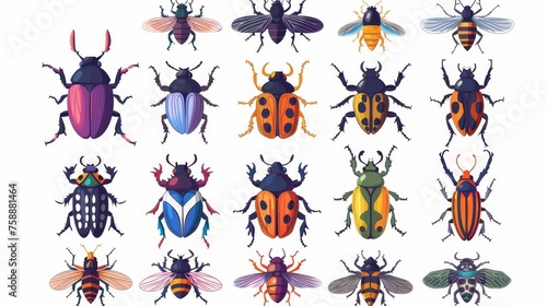 Insects with colorful antennae, top view. Nature, fiction fancy multicolored fauna species on white background. Isolated flat modern illustrations. © Mark