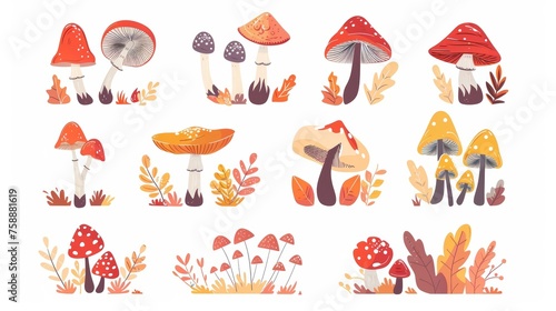 An illustration of mushrooms. Falling leaves, edible boletus, eryngi and amanita, caps and stalks. Food plant, botanical design elements. Set of flat modern illustrations isolated on white.