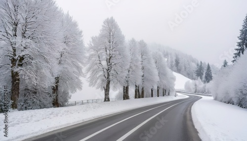 A winter road with snow covered trees running alongside, taken in Estavayer-le-Lac in Switzerland © Emilian