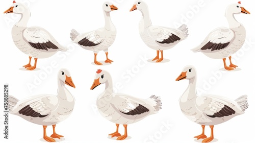 An adorable set of funny geese. Funny farm birds, comic amusing fauna in simple children's style. Isolated flat illustrations such as a kid's nursery or a children's bedroom. © Mark