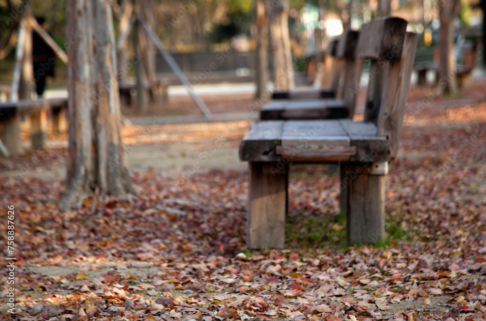empty benches with the fallen leaves on the ground in the park empty benches with the fallen leaves on the ground in the park