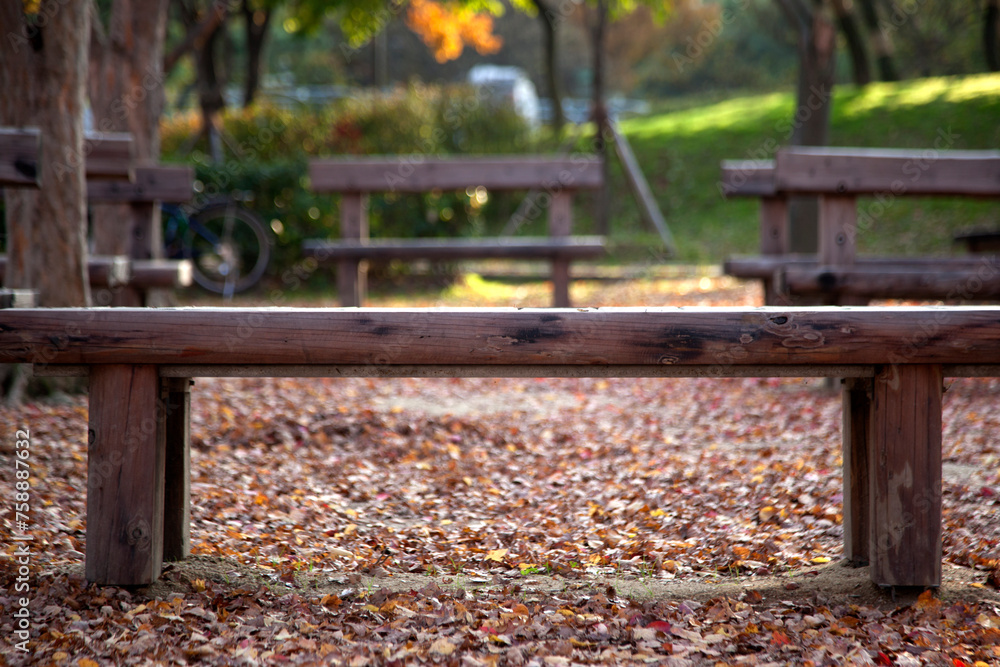 empty benches with the fallen leaves on the ground in the park empty benches with the fallen leaves on the ground in the park