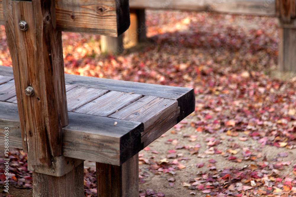 empty benches with the fallen leaves on the ground in the park empty benches with the fallen leaves on the ground in the park