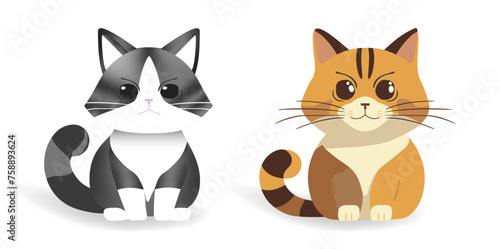 Gato cinza e gato amarelo sentados