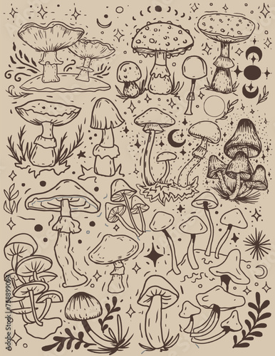 Mushrooms mystical magical graphics hand drawn moon stars tarot intuition fly agarics toadstools poisons set background stickers coloring