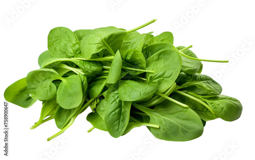 Clear Background: Fresh Baby Spinach