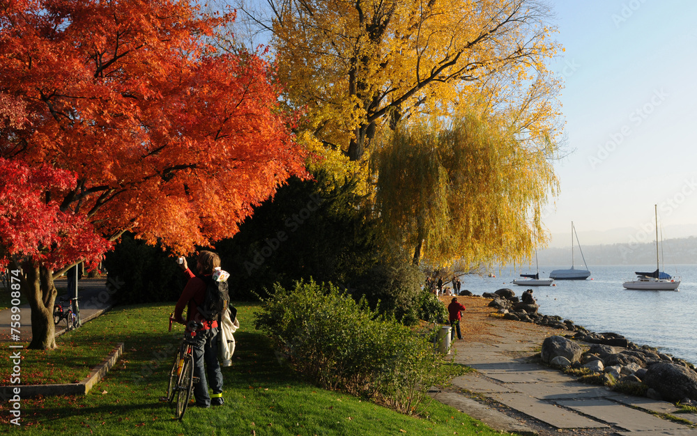 Switzerland: Autum colors at Lake Zürich in Seefeld - obrazy, fototapety, plakaty 