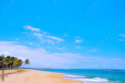 Gunga Beach or Praia do Gunga, a paradisiac beach with its clear waters and coconut trees, North Coast, Maceio, Alagoas, Feb 2020