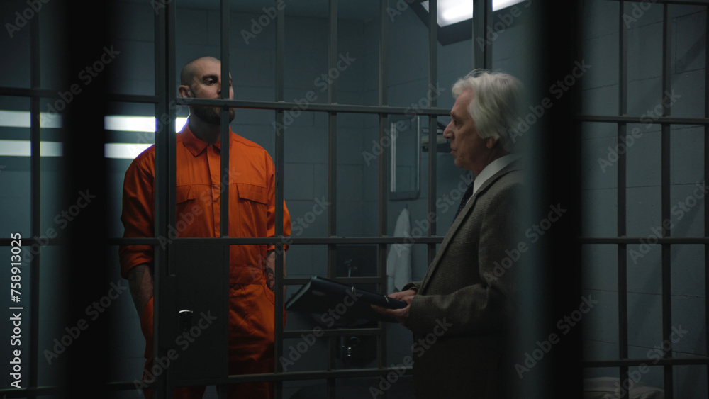 Prison Imprisonment Rabbit Prisoner in orange uniform stands behind bars in prison cell, talks ...