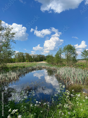 Pond in the nature reserve around Grolloo