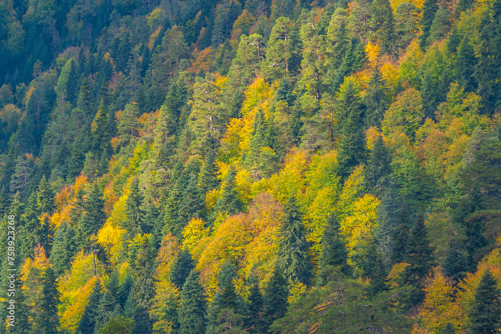 black sea mountains green and orange trees sky clouds black sea mountains green and orange trees sky clouds