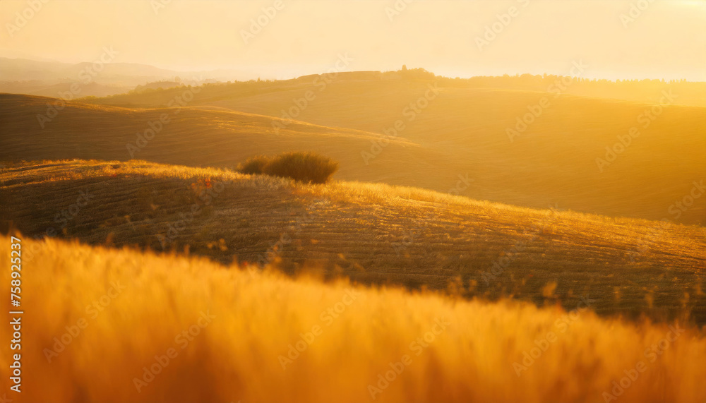 Fototapeta premium A Tuscan sunset bathes the landscape in gold