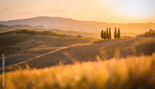 A Tuscan sunset bathes the landscape in gold © miketea88