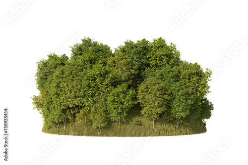 Green trees on transparent background  Forest trees  PNG file  3d render