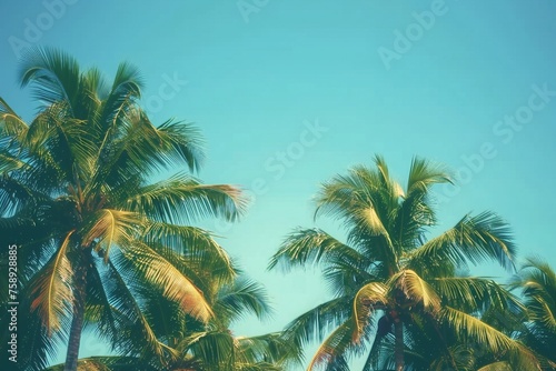 Coconut palm trees, beautiful tropical background, vintage filter. generative ai. © SEUNGJIN