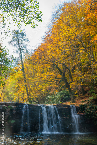 The idea of being in nature and the waterfall flowing through the trees decorated with autumn colors the rocks calmness peace and happiness