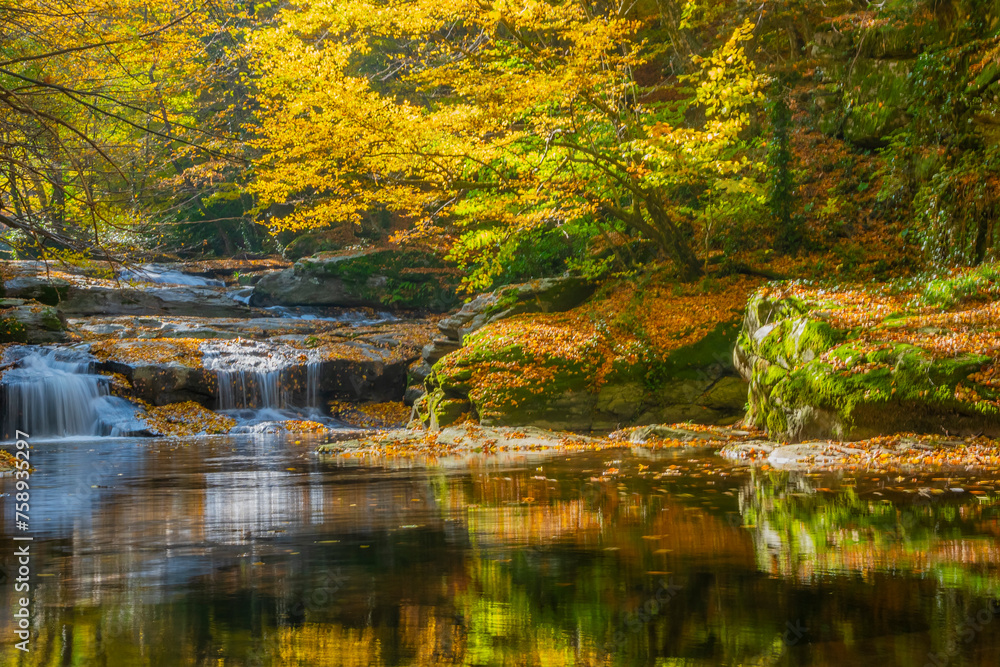 Obraz premium The idea of being in nature and the waterfall flowing through the trees decorated with autumn colors the rocks calmness peace and happiness